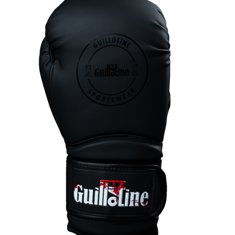 Premium Boxing gloves - Black, 10oz