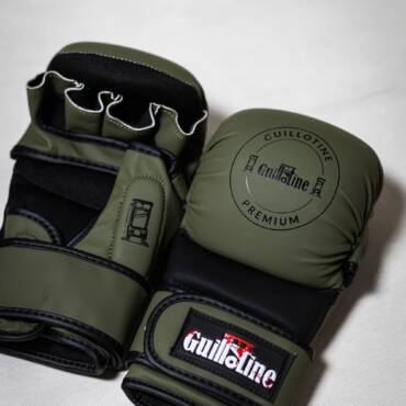 Premium MMA gloves