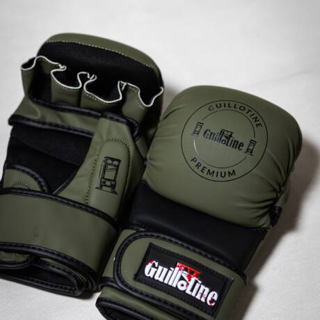 Premium MMA gloves